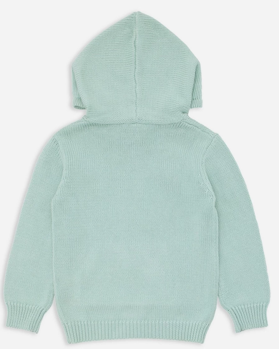 J.Crew Boys' Light Green Minnow™ Knit Hoodie for Kids