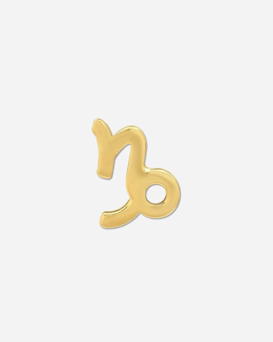J.Crew Capricorn Zodiac Earrings for Women – Bychari Gold-Tone Star Sign Hoops