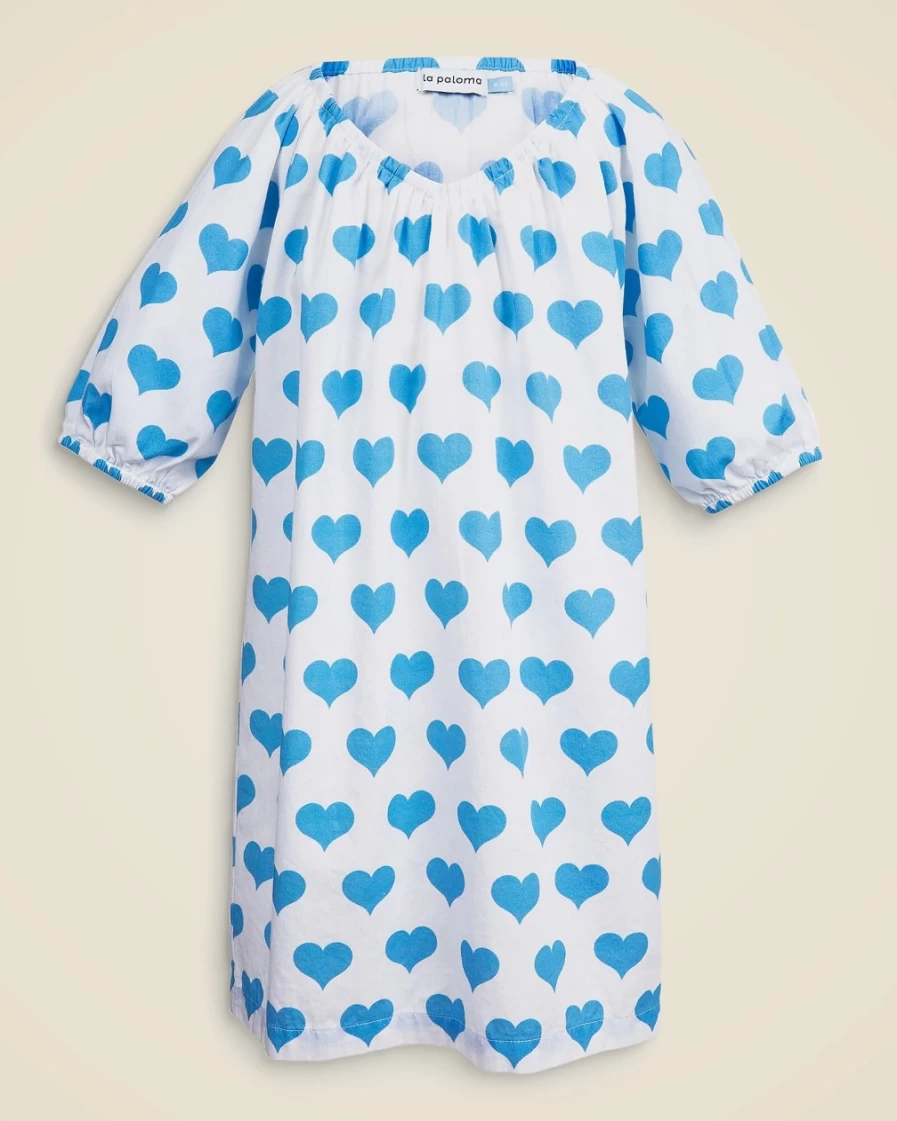 J.Crew Girls' Blue La Paloma™ Parker House Dress