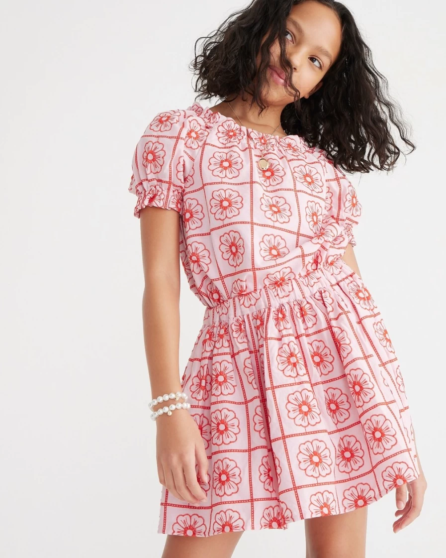 J.Crew Girls' Cupcake Blush Sweet Pe Embroidered Pull-On Skirt for Toddlers