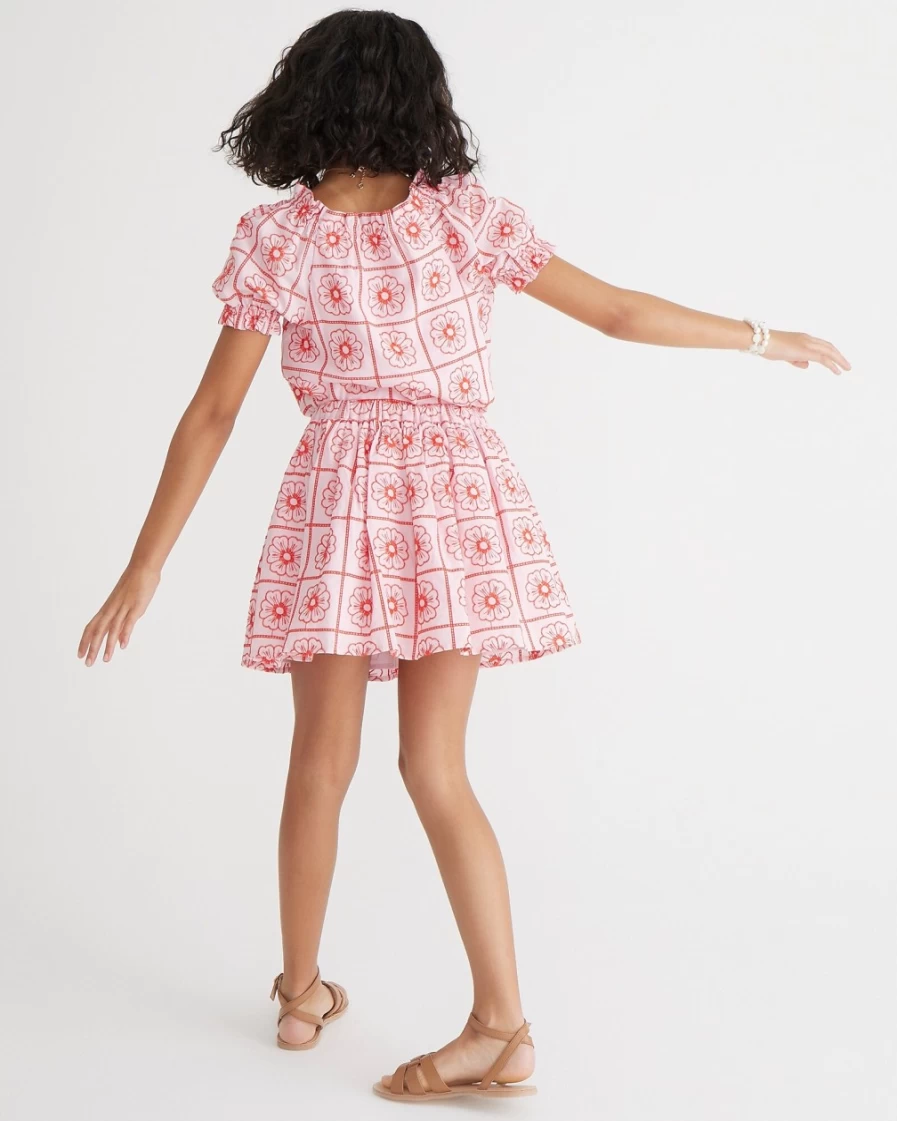 J.Crew Girls' Cupcake Blush Sweet Pe Embroidered Pull-On Skirt for Toddlers