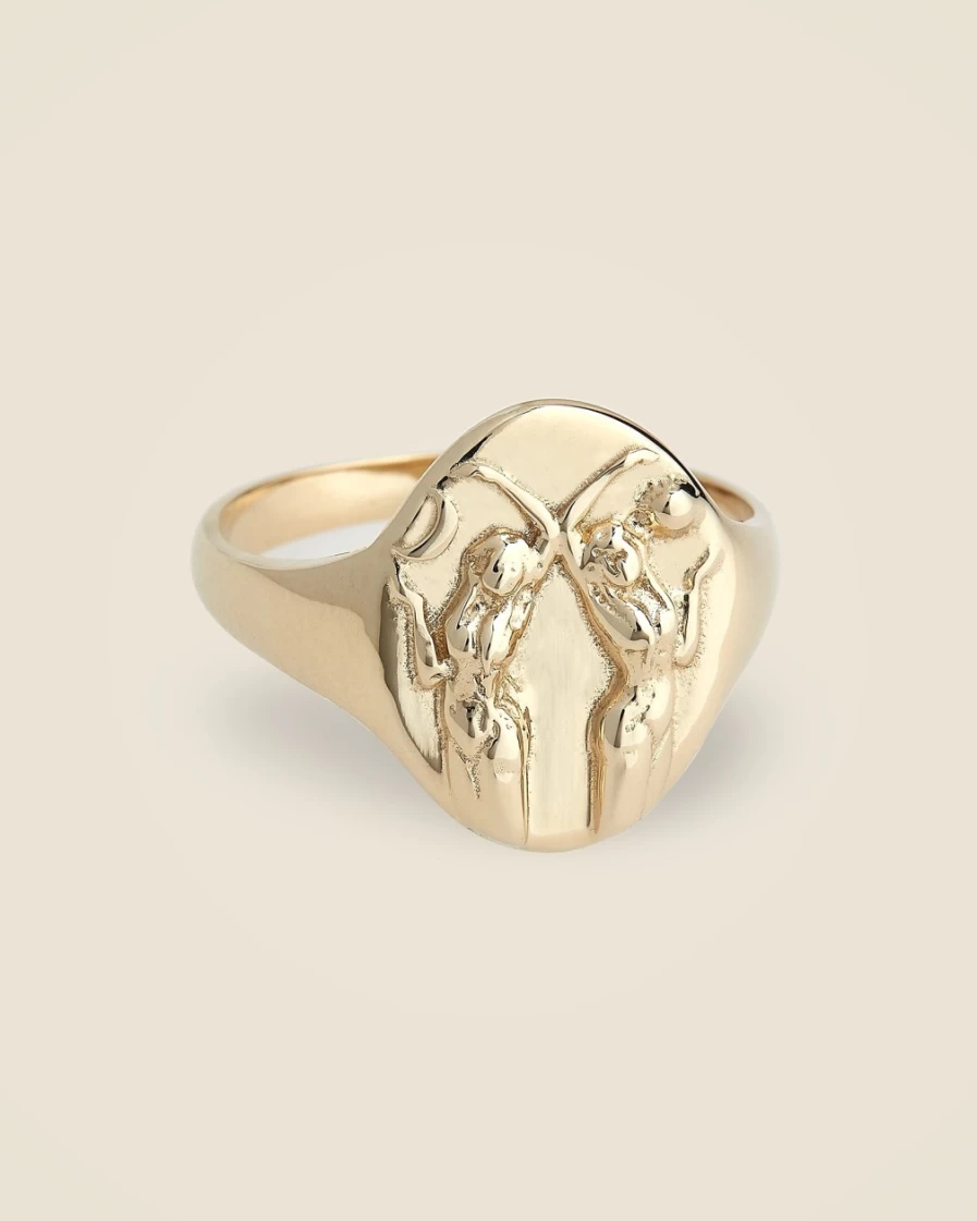 J.Crew Women's Gemini Zodiac Signet Ring – Talon Jewelry Collection